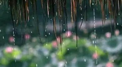 防水堵漏丨梅雨季節(jié)，10大特殊部位的防水工程做好了嗎